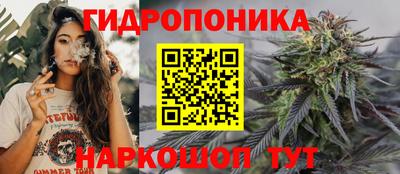PSILOCYBIN Свободный