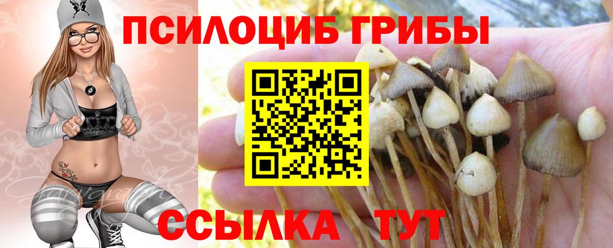 Псилоцибиновые грибы прущие грибы Серпухов